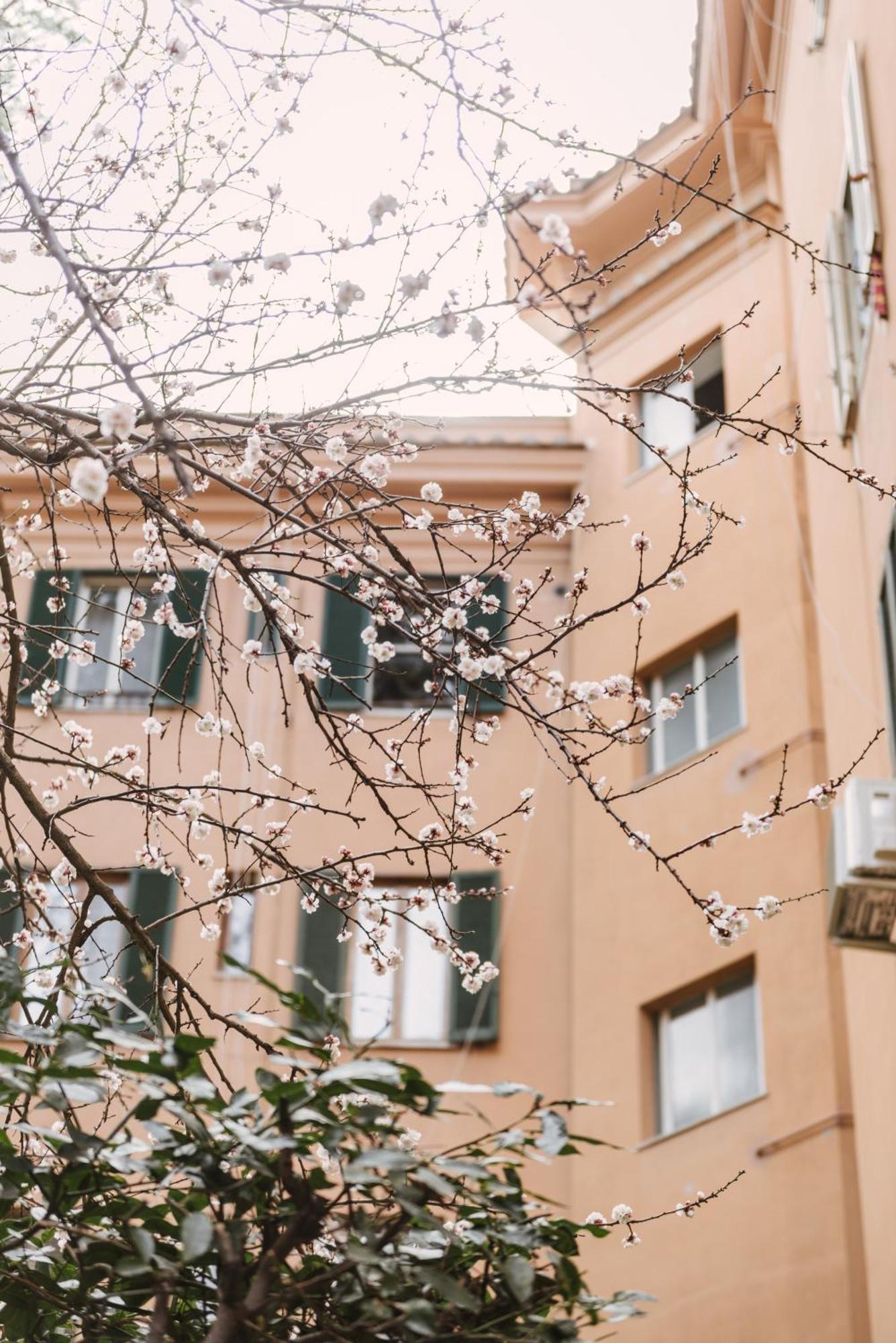 Apartamento Casa Riva 1920 Roma Exterior foto